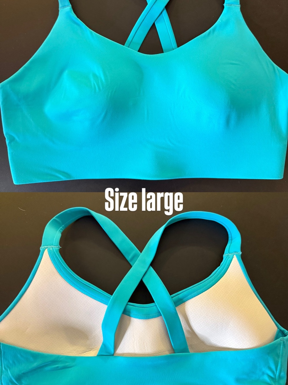 Turquoise Affinity Bra- Zyia Active